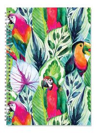 Cover image for Toucan Birds A4 Spiral Notepad