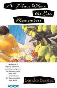 Cover image for A Place Where the Sea Remembers: A Novel