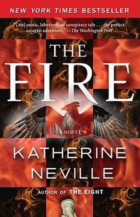Cover image for The Fire: A Novel