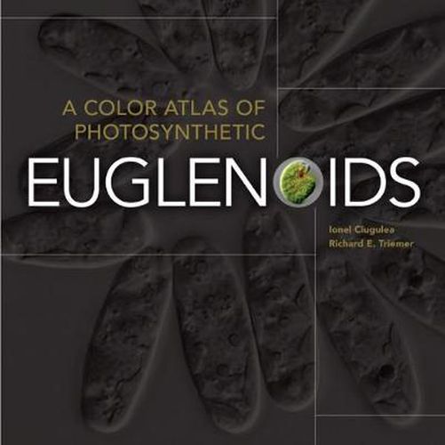 Cover image for A Color Atlas of Photosynthetic Euglenoid