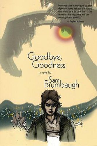 Cover image for Goodbye, Goodness