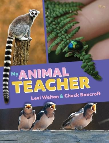 Cover image for My Animal Teacher