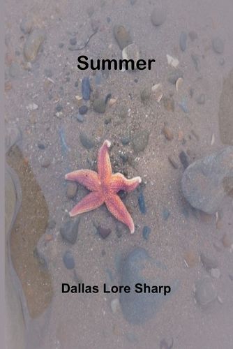 Cover image for Summer.