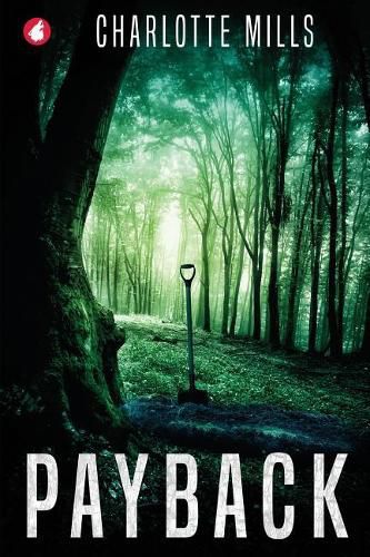 Cover image for Payback