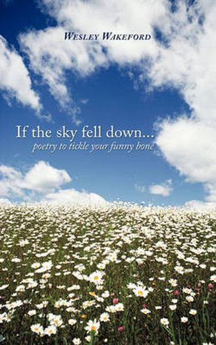 Cover image for If the Sky Fell Down...