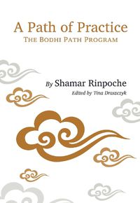 Cover image for A Path of Practice: The Bodhi Path Program