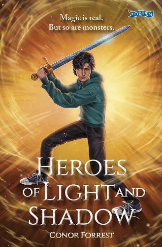 Cover image for Heroes of Light and Shadow
