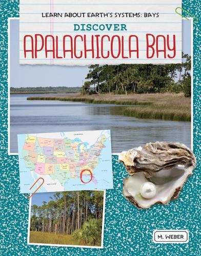 Cover image for Discover Apalachicola Bay