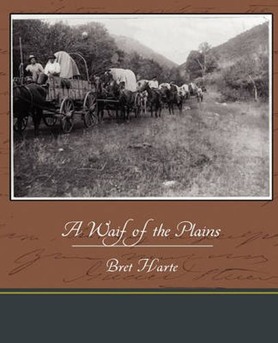 Cover image for A Waif of the Plains