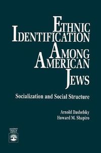 Cover image for Ethnic Identification Among American Jews: Socialization and Social Structure