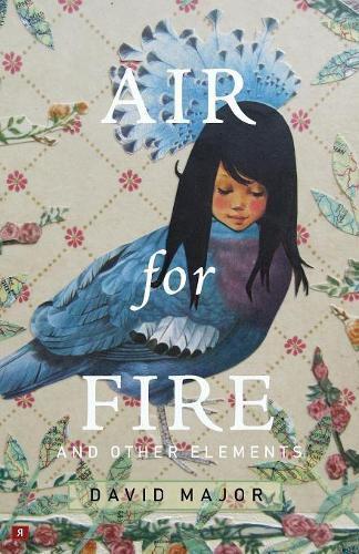 Cover image for Air for Fire