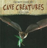 Cover image for Secret Lives of Cave Creatures