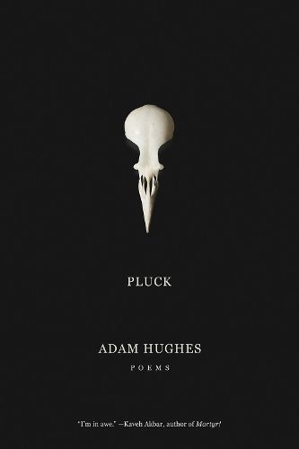 Cover image for Pluck