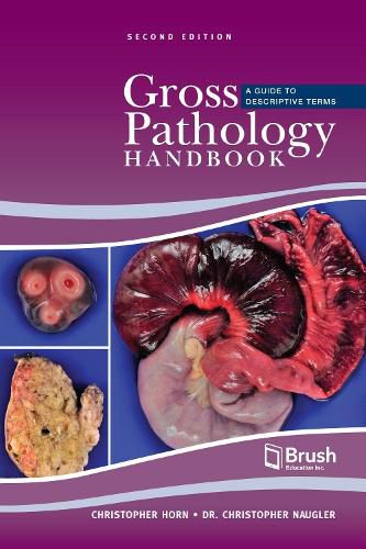 Cover image for Gross Pathology Handbook: A Guide to Descriptive Terms