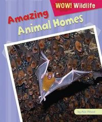 Cover image for Amazing Animal Homes