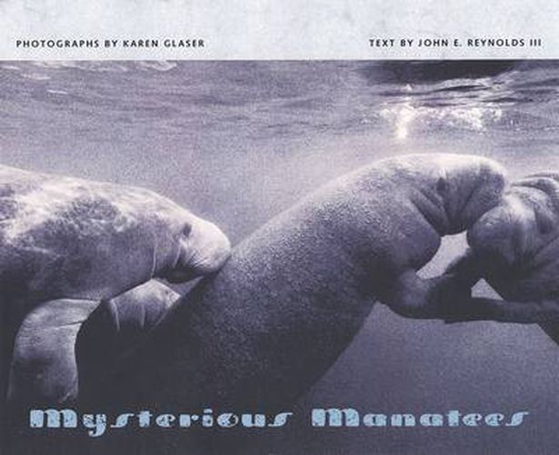 Cover image for Mysterious Manatees