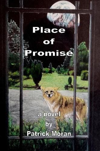 Cover image for Place of Promise