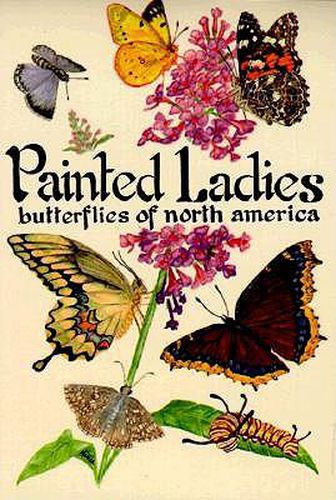 Cover image for Painted Ladies: Butterflies of North America