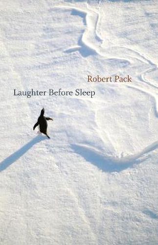 Cover image for Laughter Before Sleep