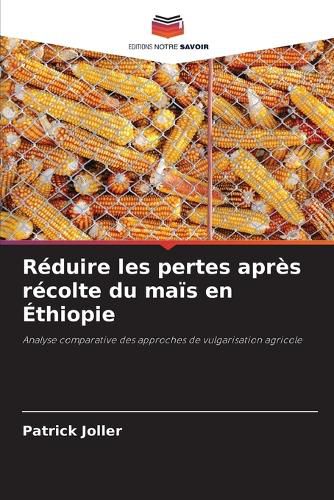 Cover image for Reduire les pertes apres recolte du mais en Ethiopie