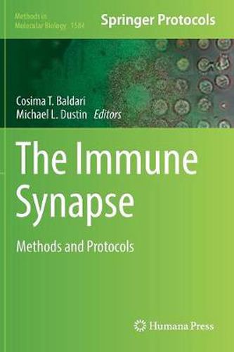 Cover image for The Immune Synapse: Methods and Protocols