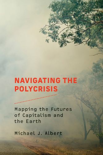 Cover image for Navigating the Polycrisis