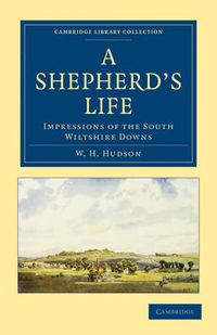 Cover image for A Shepherd's Life: Impressions of the South Wiltshire Downs