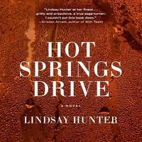 Cover image for Hot Springs Drive
