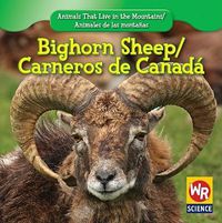 Cover image for Bighorn Sheep / Carnero de Canada