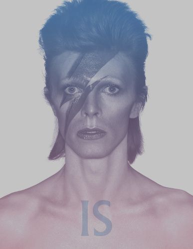 Cover image for David Bowie Is