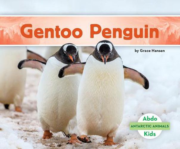 Cover image for Gentoo Penguin