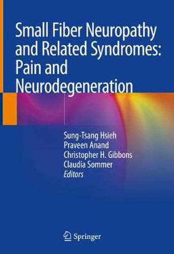 Cover image for Small Fiber Neuropathy and Related Syndromes: Pain and Neurodegeneration