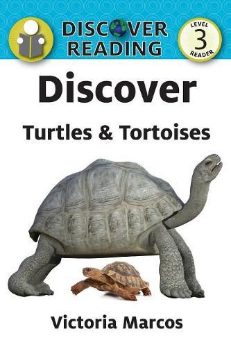 Cover image for Discover Turtles & Tortoises