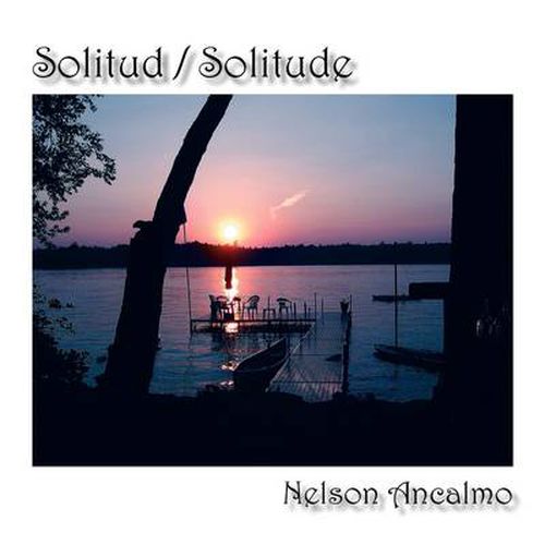 Cover image for Solitud/solitude