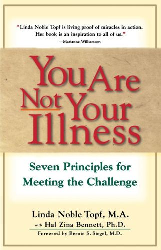 Cover image for You Are Not Your Illness: Seven Principles for Meeting the Challenge