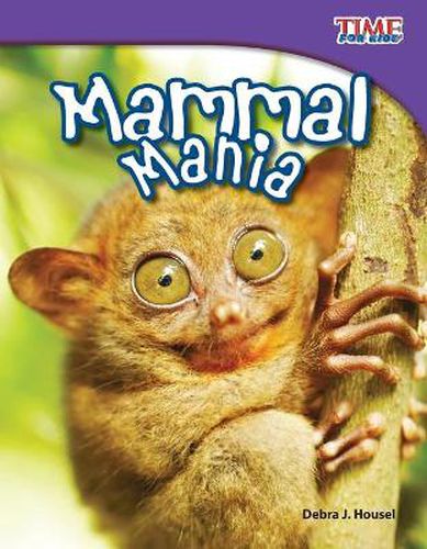 Cover image for Mammal Mania