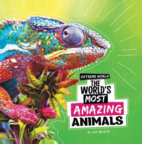 Cover image for The World's Most Amazing Animals
