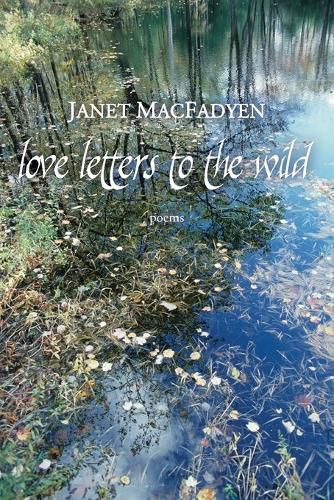 Cover image for Love Letters to the Wild