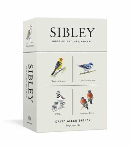 Cover image for Sibley Birds Of Land, Sea, And Sky