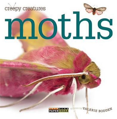 Cover image for Creepy Creatures: Moths