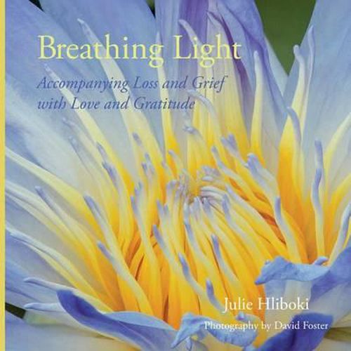 Cover image for Breathing Light: Accompanying Loss and Grief with Love and Gratitude