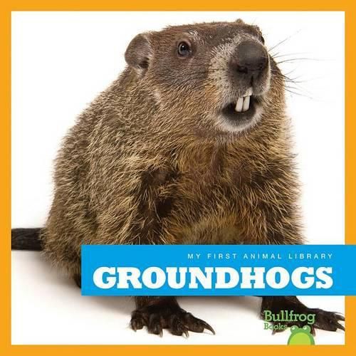 Cover image for Groundhogs