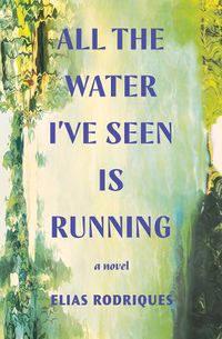 Cover image for All the Water I've Seen Is Running: A Novel