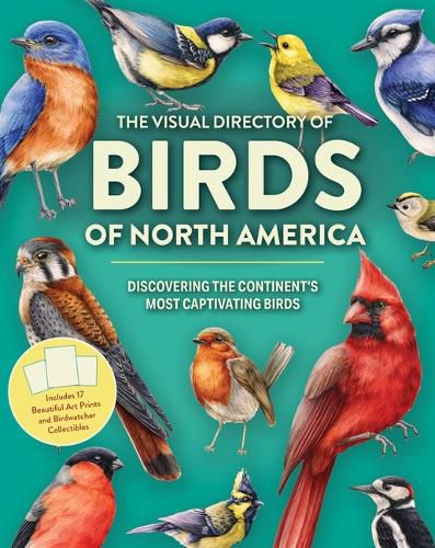 Cover image for The Visual Directory of Birds of North America
