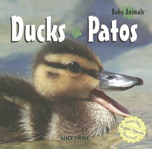 Cover image for Ducks / Patos