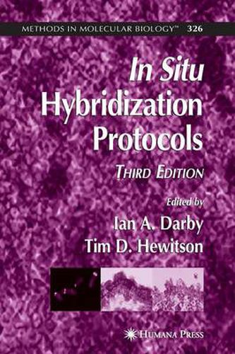 Cover image for In Situ Hybridization Protocols