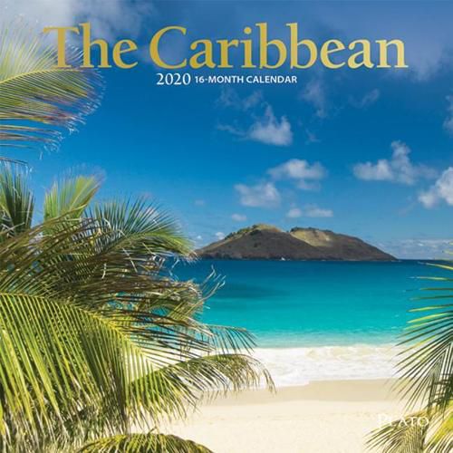 Caribbean, the 2020 Mini 7x7 Plato Foil