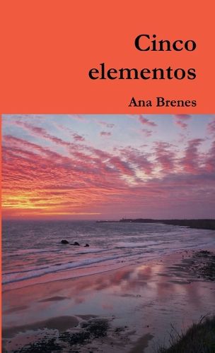 Cover image for Cinco elementos