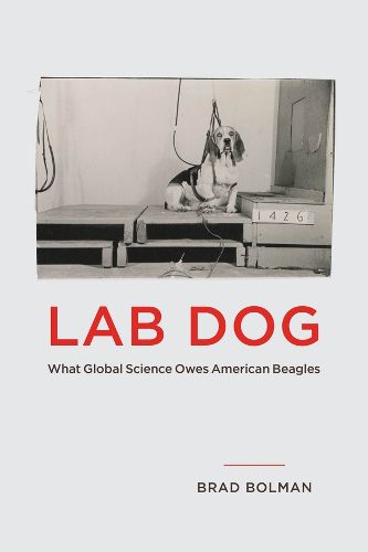 Cover image for Lab Dog