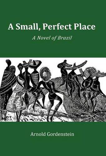 Cover image for A Small, Perfect Place: A Novel of Brazil